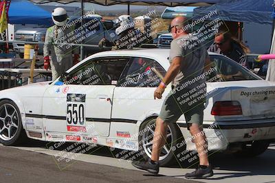 media/Oct-13-2024-Lucky Dog Racing (Sun) [[167cdb2262]]/Pits-Driver Changeovers-Refueling-Etc/